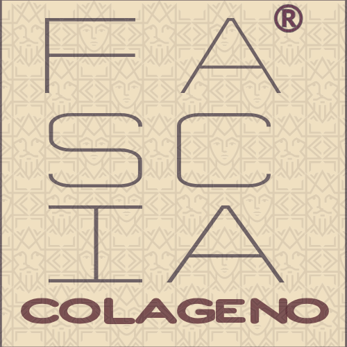 Logo de FASCIA